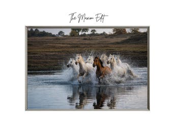 Wild Horses Photography Print – White Horses in Water (Digital Download)