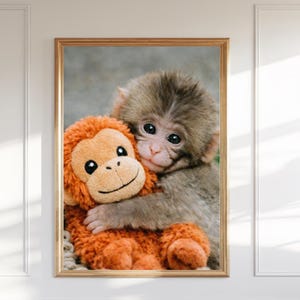 Könnte beinhalten: Gerahmter Druck mit einem Babyaffen, der ein orangefarbenes Stofftier umarmt. Der Affe hat graues Fell und dunkle Augen, während das Stofftier ein lächelndes Gesicht hat. Der Druck ist in einem goldenen Rahmen.