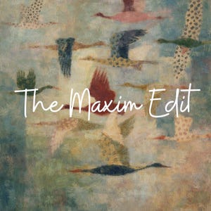 May include: An abstract painting featuring a flock of birds in flight, rendered in muted tones of blue, green, pink, and beige. The text "The Maxim Edit" is overlaid in white cursive.