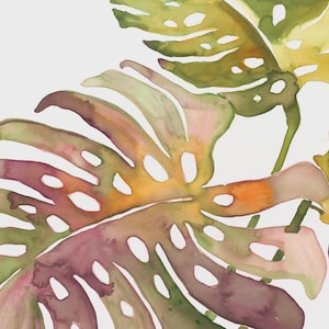 May include: Watercolour painting of tropical monstera leaves in shades of green, yellow, orange, and purple. The leaves have distinctive holes and are set against a white background. The artwork evokes a botanical theme.