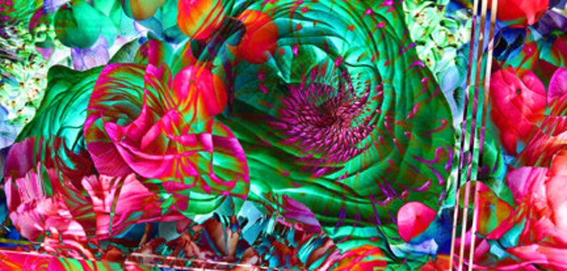 Two Piece Floral Mash Vibrant Art Prints