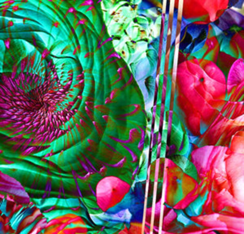 Two Piece Floral Mash Vibrant Art Prints