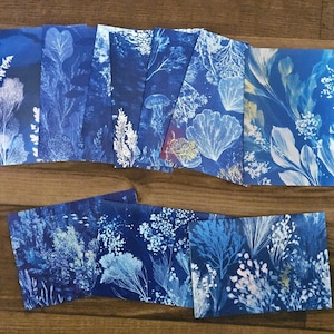 May include: A collection of blue and white stationery cards with botanical designs. The cards feature various aquatic plant and coral illustrations in shades of blue and white. The cards are arranged on a wooden surface.