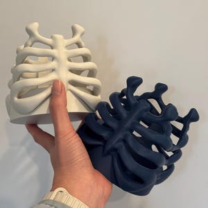 May include: Two cylindrical containers featuring a three-dimensional rib cage design. One container is matte white and the other is matte dark blue. Both items have an open-frame structure with curved, bone-like ribs extending from a central spine.