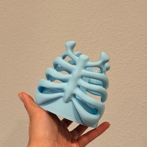 May include: A light blue, three-dimensional object shaped like a human rib cage. The structure features a central vertical sternum piece with horizontal ribs extending outward on both sides, creating an open, cage-like design with a smooth finish.