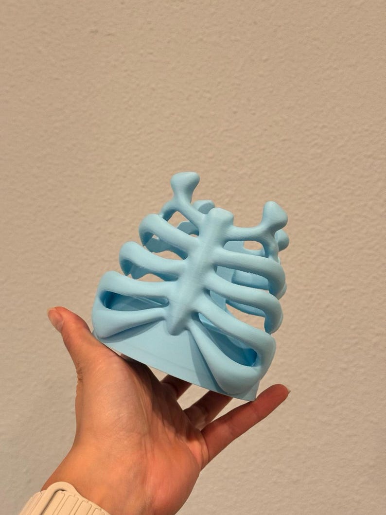 May include: A light blue, three-dimensional object shaped like a human rib cage. The structure features a central vertical sternum piece with horizontal ribs extending outward on both sides, creating an open, cage-like design with a smooth finish.