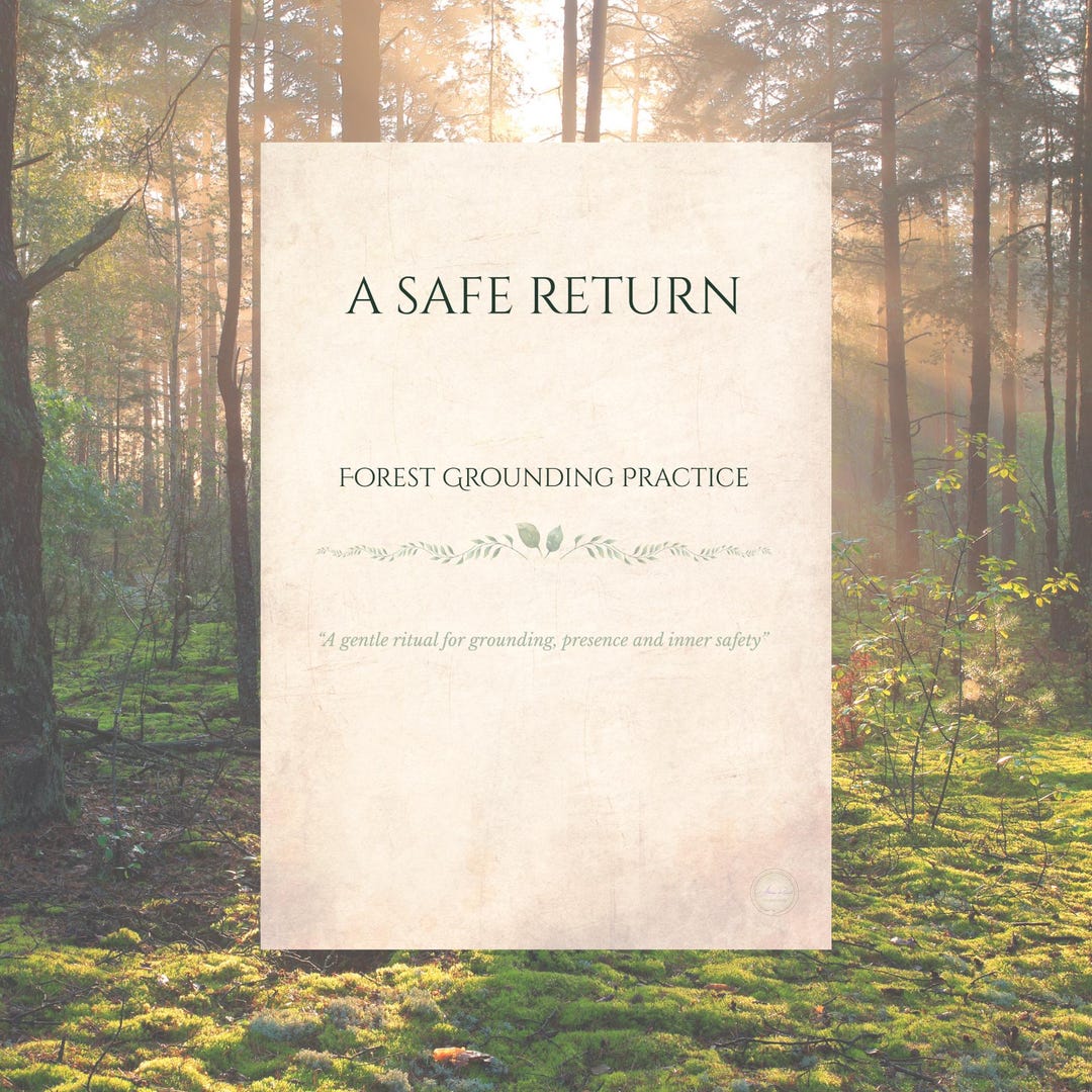 A Safe Return – Forest Grounding Ritual Guide | Guided Visualisation ...