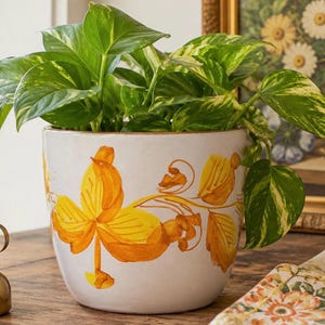 May include: A white ceramic planter featuring a hand-painted orange and yellow floral motif. The pot contains a lush green and yellow variegated pothos plant with trailing vines that drape over the smooth, rounded edges of the container.