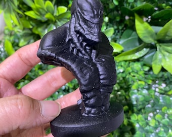 10cm Natural Matte Black Obsidian Venom America Crystal Carvings Ornament Healing Gifts