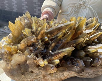 Natural Highly Collectible Museum-Grade Madagascar Yellow Rabbit Hair Quartz Cluster Crystal Eenergy Healing