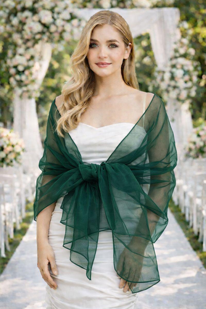 transparent shawl for dress
