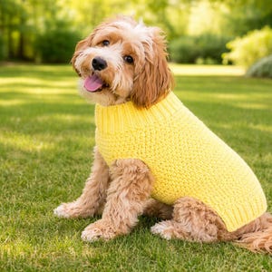 May include: A dog with light brown and white fur wearing a yellow knitted sweater, sitting on grass. The dog is looking at the camera with its tongue out. The background is a blurred green lawn and trees.