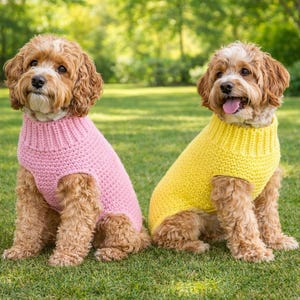 May include: Two dogs wearing knitted jumpers, one pink and one yellow, sit side-by-side on a grassy lawn. The dogs have brown and white fur and are looking at the camera. The background is a blurred green with trees.
