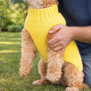 May include: A small dog wearing a bright yellow, knitted jumper. The jumper has a ribbed turtleneck and a textured body. The dog is being held by a person wearing a blue long-sleeved top and jeans, kneeling on green grass.