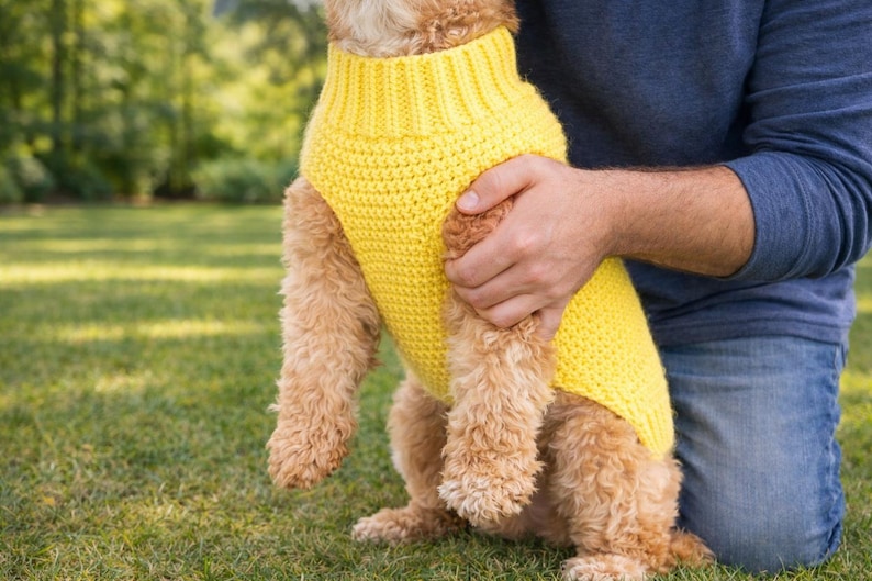 May include: A small dog wearing a bright yellow, knitted jumper. The jumper has a ribbed turtleneck and a textured body. The dog is being held by a person wearing a blue long-sleeved top and jeans, kneeling on green grass.