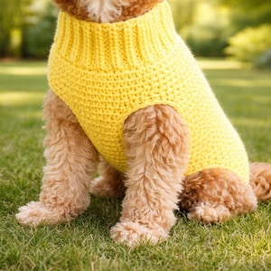 May include: A bright yellow knitted dog sweater. The sweater covers the dog's torso and front legs. The dog is sitting on green grass. The sweater is a vibrant, solid colour.