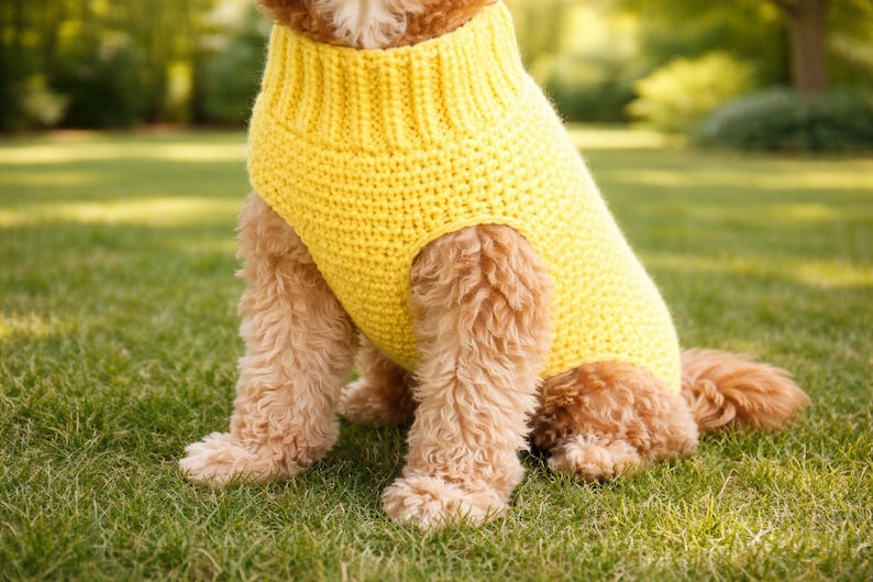 May include: A bright yellow knitted dog sweater. The sweater covers the dog's torso and front legs. The dog is sitting on green grass. The sweater is a vibrant, solid colour.
