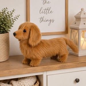 Puede incluir: Un peluche de perro salchicha con pelaje largo, suave y de color marrón dorado, orejas caídas, nariz negra y ojos oscuros. El animal de peluche está de pie en posición de perfil, mostrando su cuerpo alargado, patas cortas y cola.