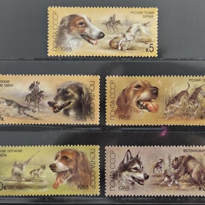May include: A collection of vintage postage stamps featuring dog breeds. Each stamp showcases a different dog, with illustrations of hunting scenes and portraits. The stamps are from 1988 and include text in Russian.
