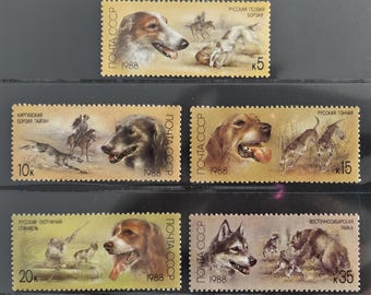 Lot de 5 tampons Chiens de chasse de l'Union soviétique, 1988, chiens peints de l'Union soviétique, SC5667-71, MNH/OG
