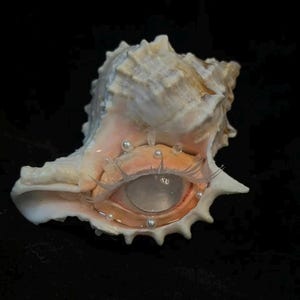 May include: A seashell art piece featuring a detailed eye design. The eye is set within the shell's interior, with delicate eyelashes and small pearls. The shell has a textured, off-white and tan exterior against a black background.