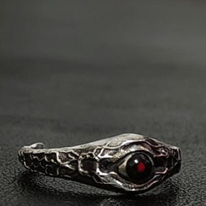 Può includere: Un anello argentato a forma di testa di serpente. L'anello presenta squame dettagliate e un occhio prominente con un centro rosso. L'anello è posto su uno sfondo scuro.