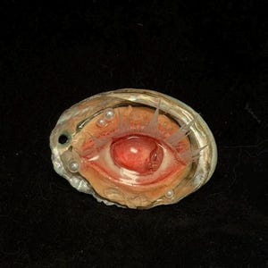 May include: A unique, handcrafted art piece featuring a detailed, red eye set within a pearlescent seashell. The eye has intricate details, with delicate lashes and small, pearl-like accents. The artwork is set against a dark background.