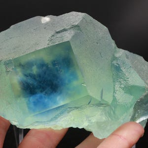 May include: A translucent fluorite crystal specimen featuring a prominent cubic structure with pale mint green outer edges and a deep, saturated royal blue phantom core. The mineral displays sharp geometric facets and a glassy, crystalline texture.