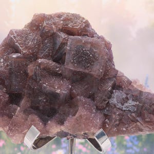 May include: A large, rough fluorite crystal cluster in shades of purple and brown, displayed on a silver stand. The crystal's surface is composed of many small, cubic formations. The background is a blurred image of a garden.
