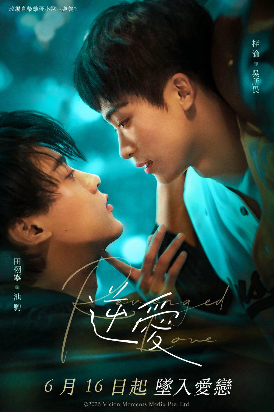 Thai Bl Series Dvd - Etsy