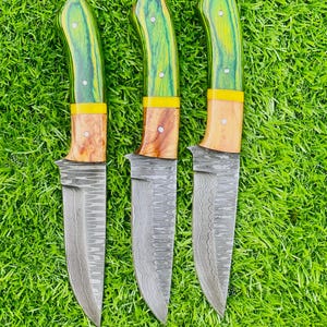 May include: Three handmade knives with patterned steel blades and wooden handles. The handles are a combination of green and yellow wood, with a yellow accent near the blade. The knives are displayed on a bed of green grass.