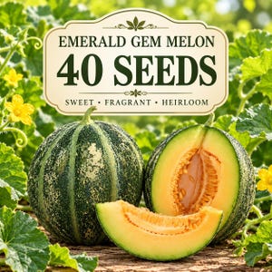 May include: A packet of Emerald Gem melon seeds featuring the text 40 SEEDS, SWEET, FRAGRANT, HEIRLOOM. The image displays one whole dark green melon with light speckles, one halved melon showing orange flesh, and a single slice in front.