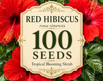100 Red Hibiscus rosa-sinensis Seeds, Tropical Flowering Shrub, Bright Red Garden Flowers, Non-GMO Ornamental Plant Seeds