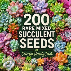 200 Rare Mixed Succulent Seeds | Colorful Variety Pack for Planting | Indoor Pots Mini Garden Terrarium Seeds | Unique Succulent Mix