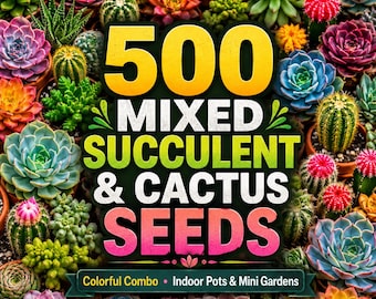 500 Mixed Succulent Cactus Seeds – Colorful Combo Seeds for Planting Indoor Pots Mini Garden Terrarium & Unique Houseplants