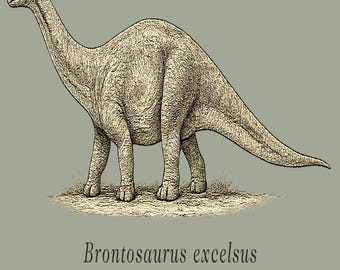Brontosaurus Illustration Shirt Vintage Dinosaur Natural History Tee