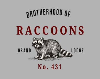 Funny Raccoon Shirt Novelty Animal Tee Raccoon Lover Gift Men