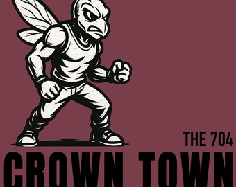 Charlotte 704 Basketball Fan Retro Streetwear Graphic T Shirt