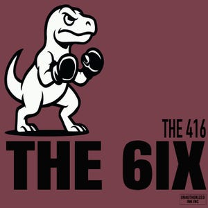 Toronto 416 Basketball Heritage Vintage Sports Shirt Canada Pride