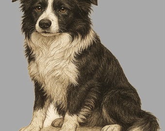 Rainbow Border Collie Shirt: Vibrant Dog Graphic Tee, Pet Lover