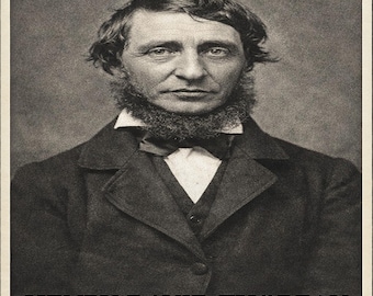 Camiseta de Henry David Thoreau Walden Tee Regalo para amantes de la literatura