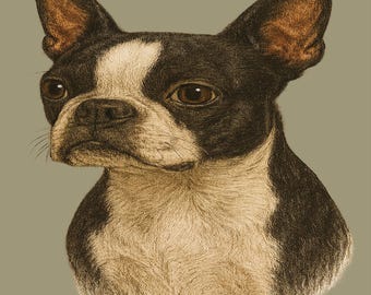 Boston Terrier T-Shirt: Realistic Dog Portrait Graphic Tee