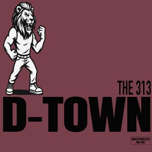 Camiseta de aficionado al fútbol de Detroit con código de área 313, mascota de D-Town, ropa de calle retro