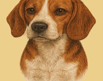 Beagle-T-shirt: aquarel hondenportret, uniseks T-shirt