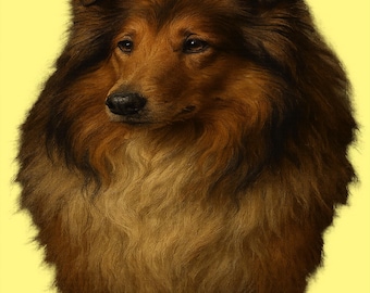 Camiseta con retrato de Collie de pelo largo para amantes de los perros Collie
