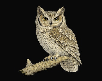 Camiseta de búho chillón oriental. Camiseta ilustrada de rapaz para observadores de aves.