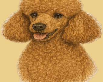 French Poodle T Shirt Dog Lover Gift Poodle Owner