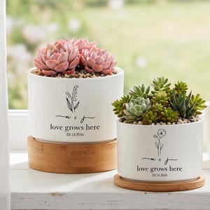 May include: Two white ceramic cylindrical planters with bamboo bases, each containing a succulent plant. The planters feature black line art of flowers, the initials M + J, the text love grows here, and the date 02.14.2026 printed on the front.