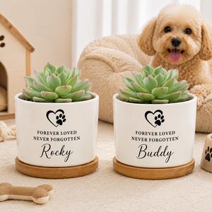 Puede incluir: Dos macetas cilíndricas de cerámica blanca con platillos de bambú, cada una con una suculenta verde. Las macetas presentan un corazón negro con una huella y el texto "FOREVER LOVED NEVER FORGOTTEN" sobre los nombres "Rocky" y "Buddy".