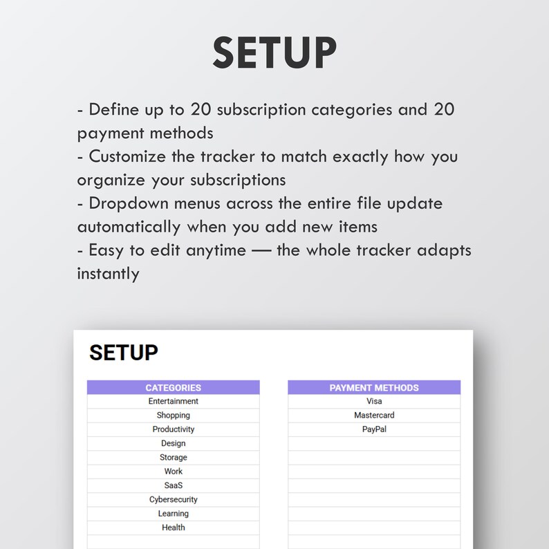 May include: A digital document labelled "SETUP" detailing subscription management. It features lists of categories and payment methods, with text describing customisation and ease of use for the user.